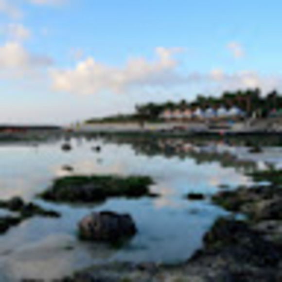 Meet your Posher, Healim - Picture 1 of 1